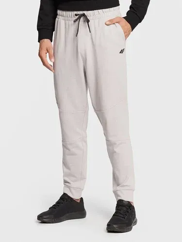 Pantaloni trening 4F (17616247)